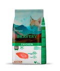 Bravery Chicken Kitten