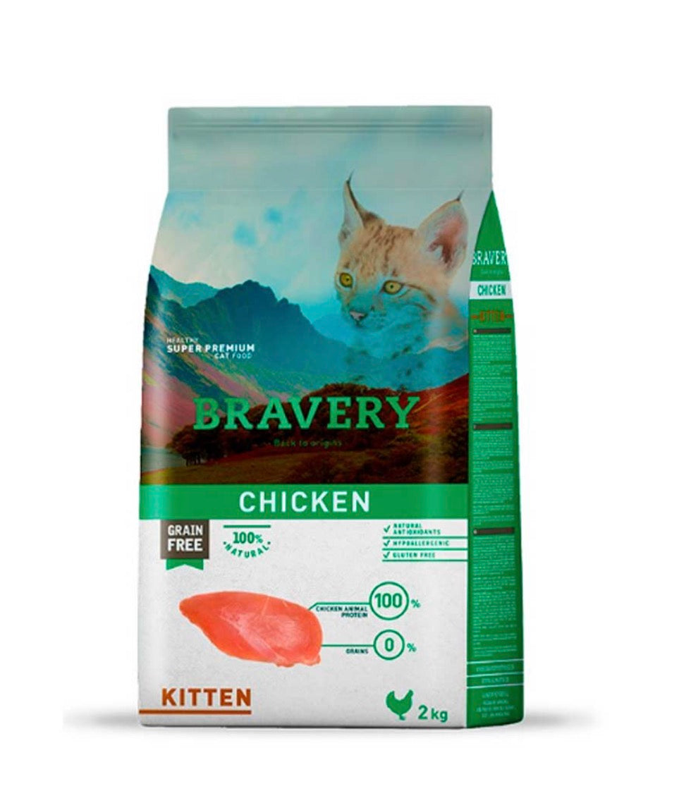 Bravery Chicken Kitten