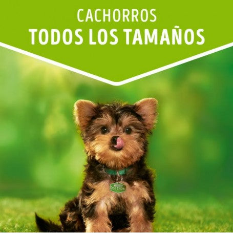 Pouche Dog Chow Perro Cachorro Carne 100gr