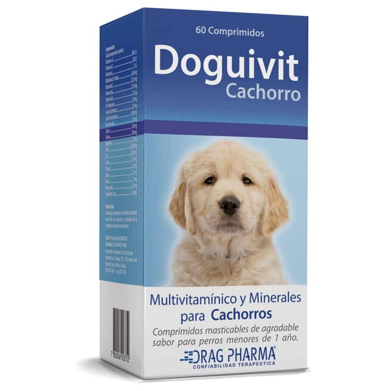 Doguivit cachorro