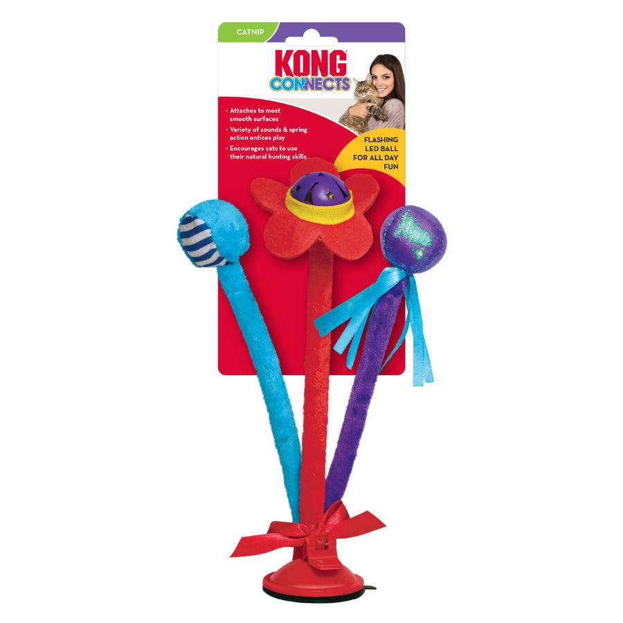 Kong connects Bat'n spring