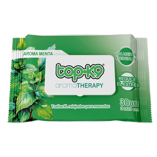 Toallitas aroma therapy menta