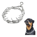 Collar de adiestramiento