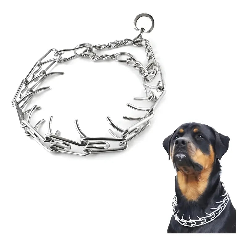 Collar de adiestramiento