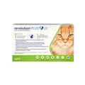 Revolution plus gatos 5-10kg