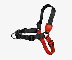 Zee dog medium soft-walk harness